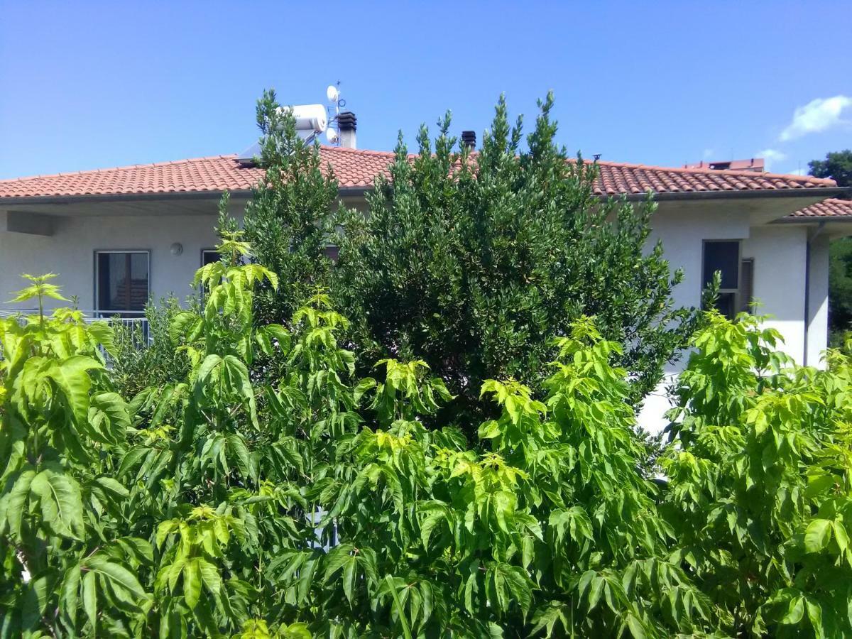 House Rose Daire Dış mekan fotoğraf